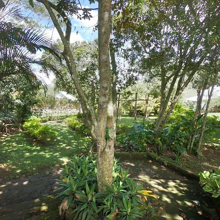 לוס סאנטוס Tribu Ecohostal מראה חיצוני תמונה