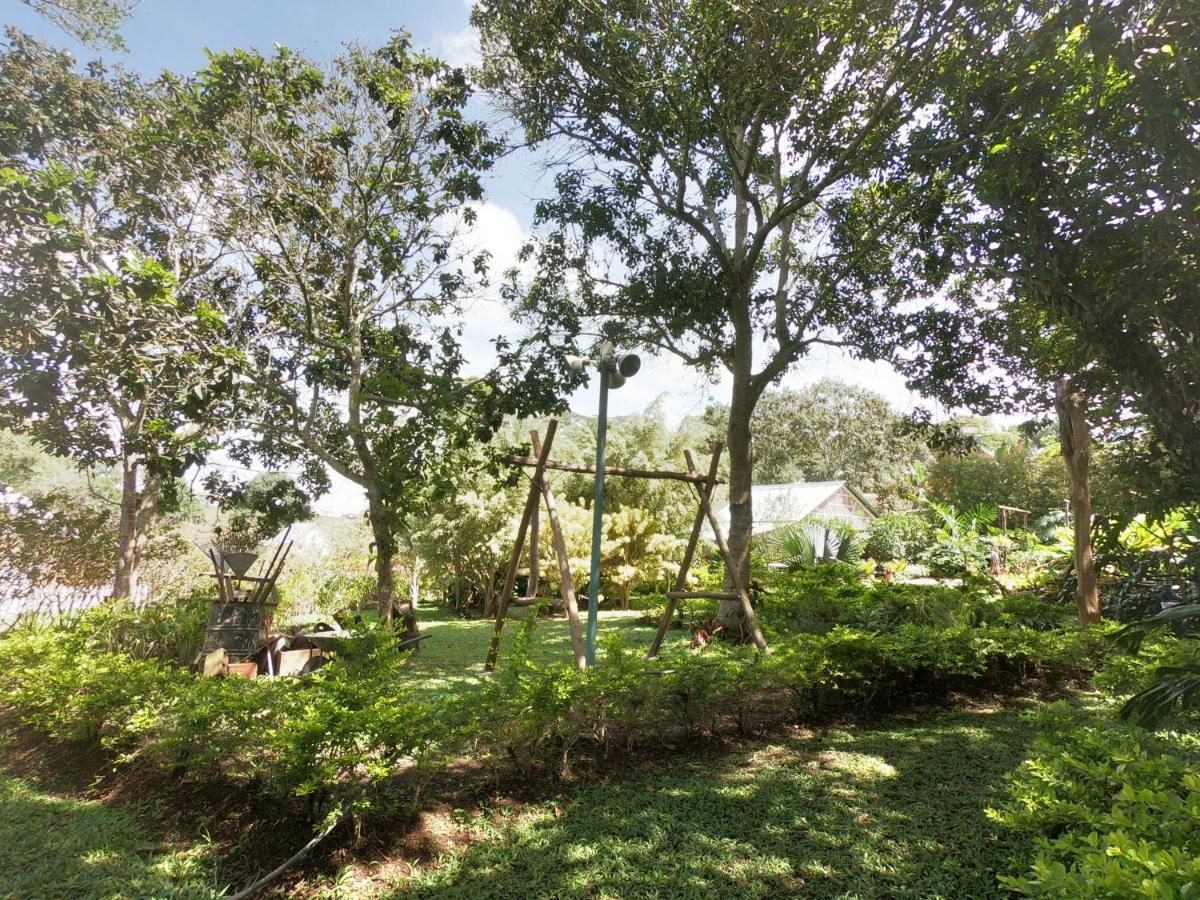 לוס סאנטוס Tribu Ecohostal מראה חיצוני תמונה