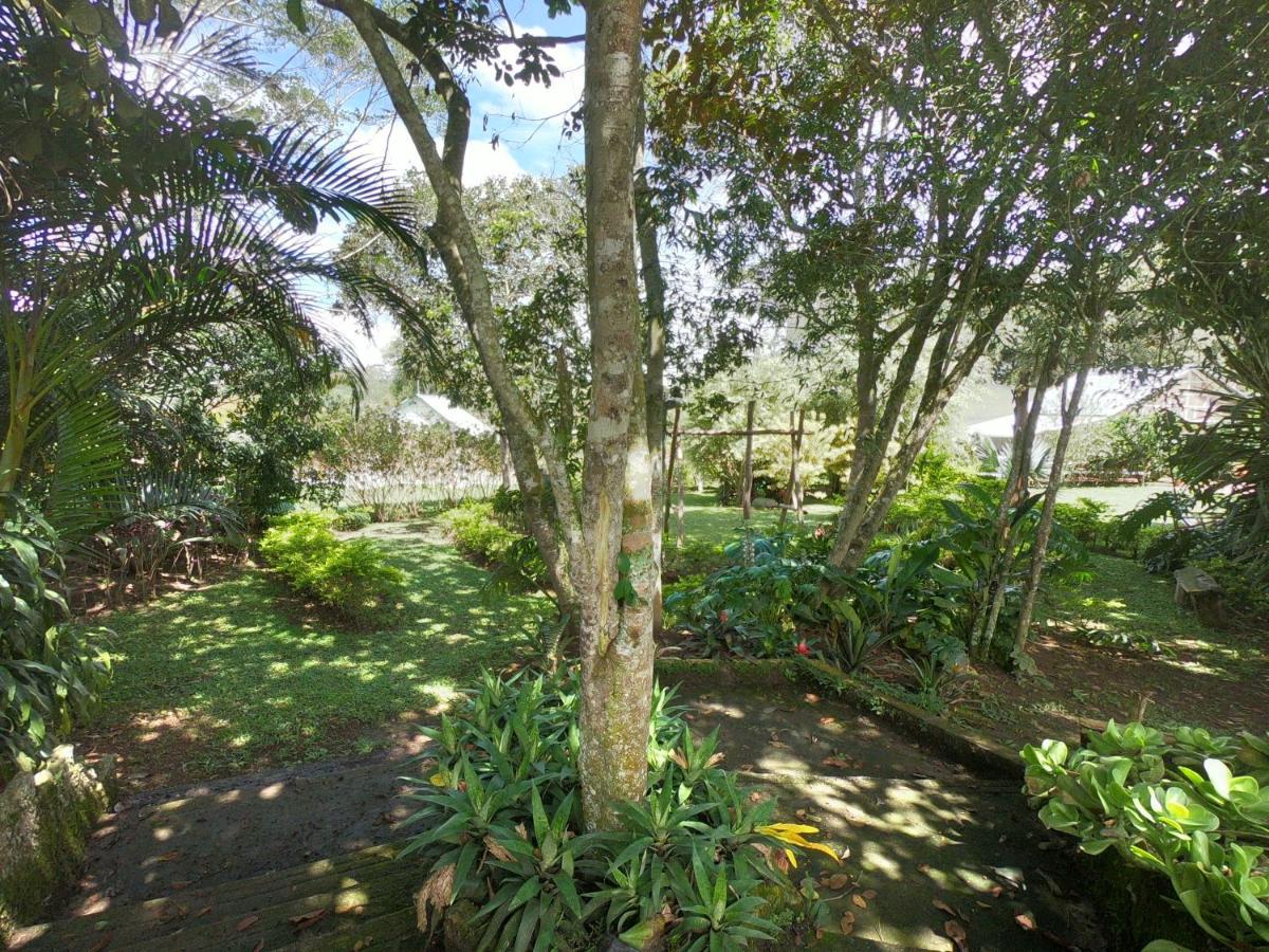 לוס סאנטוס Tribu Ecohostal מראה חיצוני תמונה
