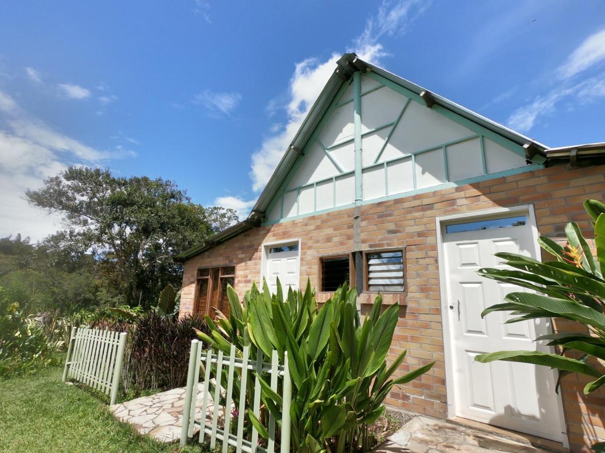 לוס סאנטוס Tribu Ecohostal מראה חיצוני תמונה