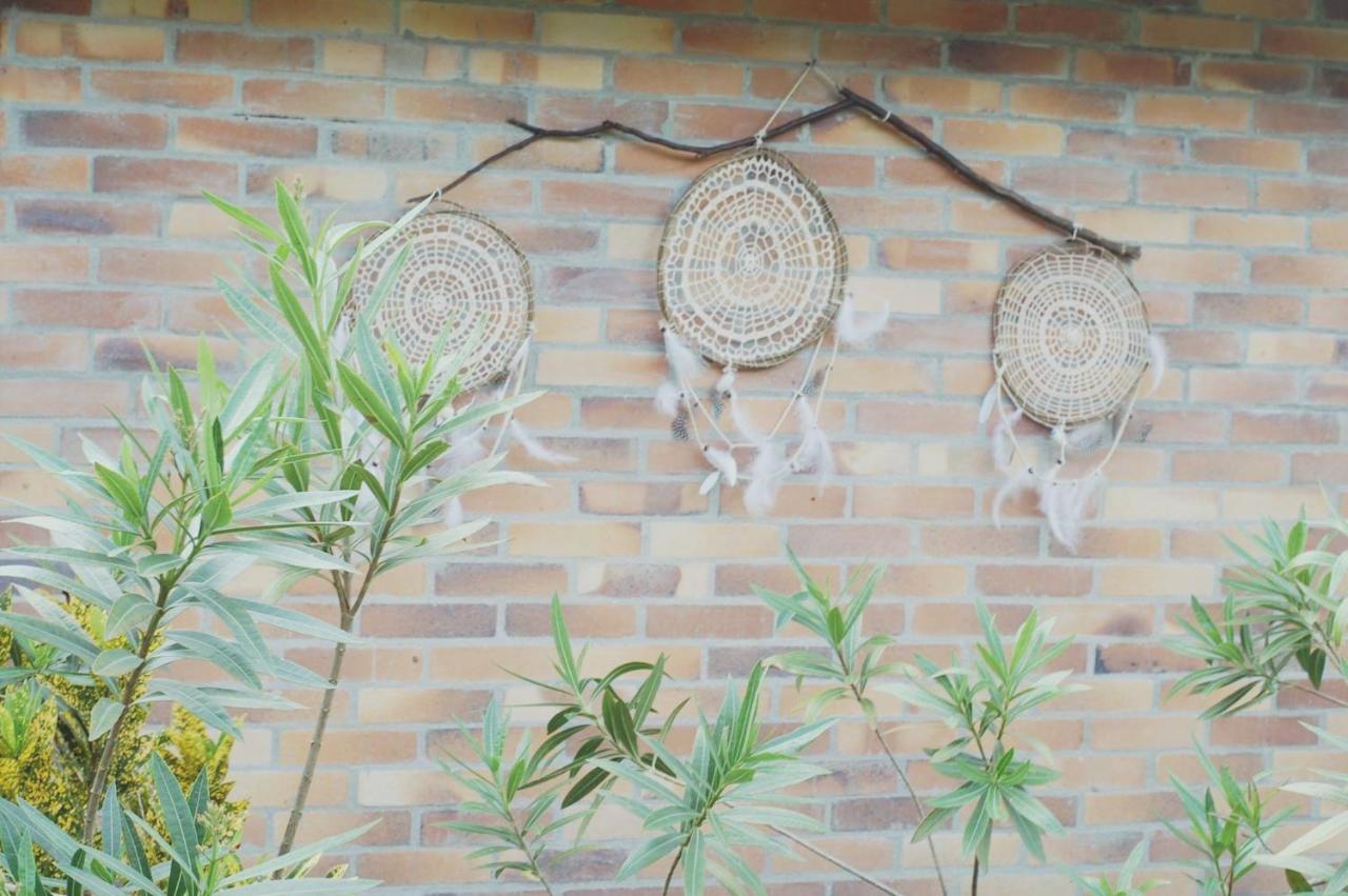 לוס סאנטוס Tribu Ecohostal מראה חיצוני תמונה