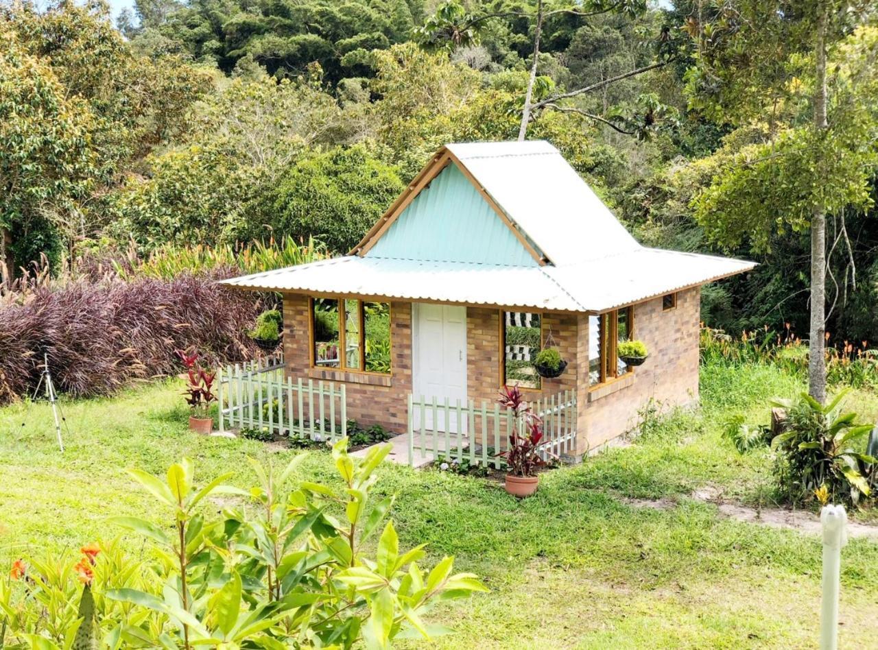 לוס סאנטוס Tribu Ecohostal מראה חיצוני תמונה