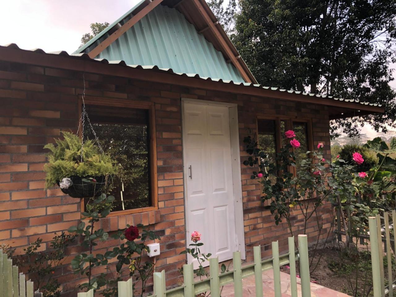 לוס סאנטוס Tribu Ecohostal מראה חיצוני תמונה